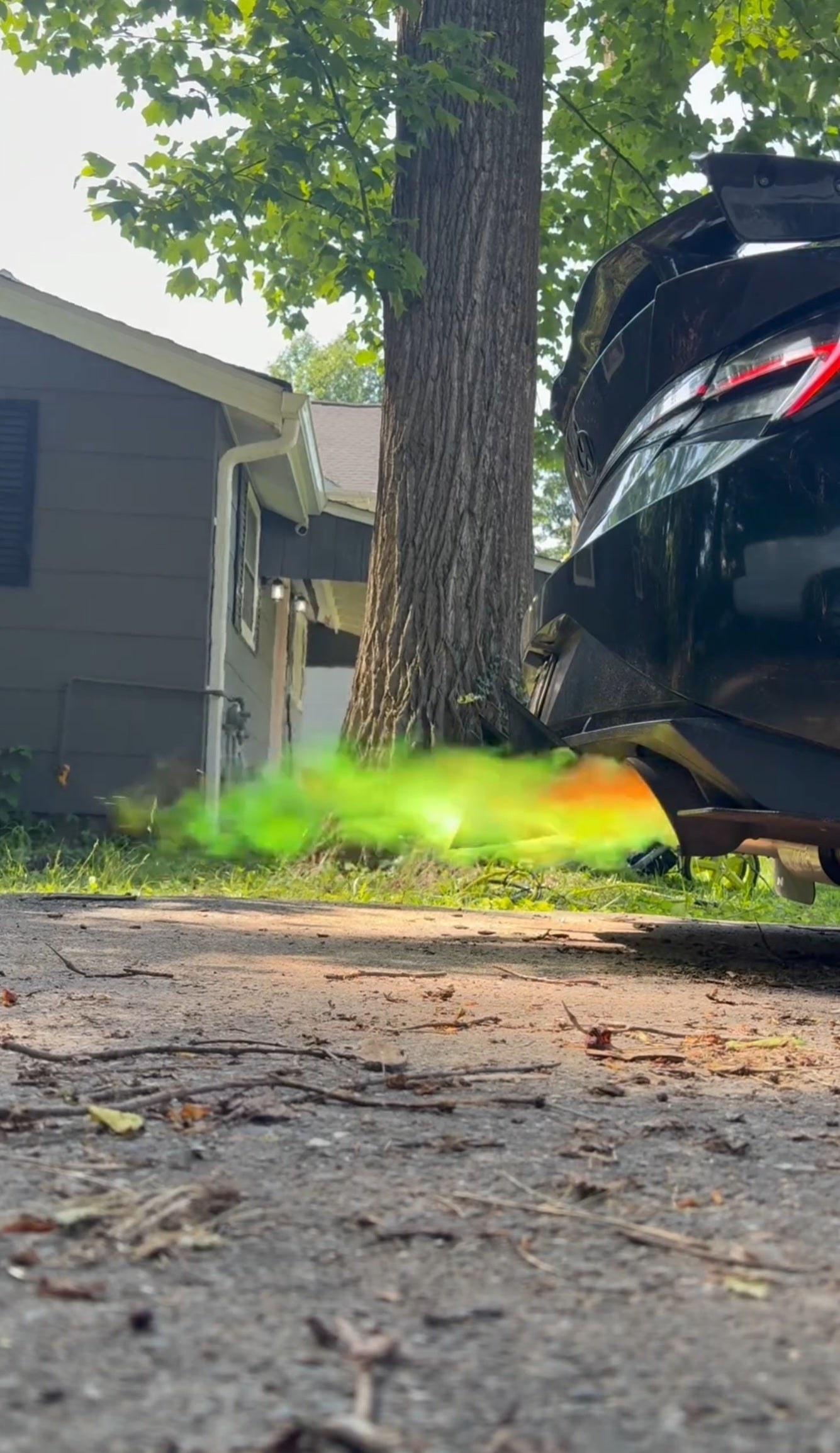 Neon Green